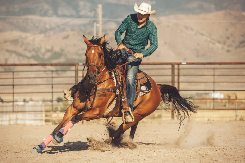 Horse barrel run at the rodeo.